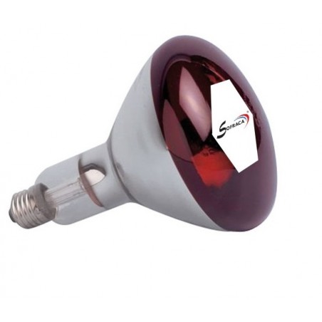 Ampoule rouge 250W pour lampes chauffantes Sofraca